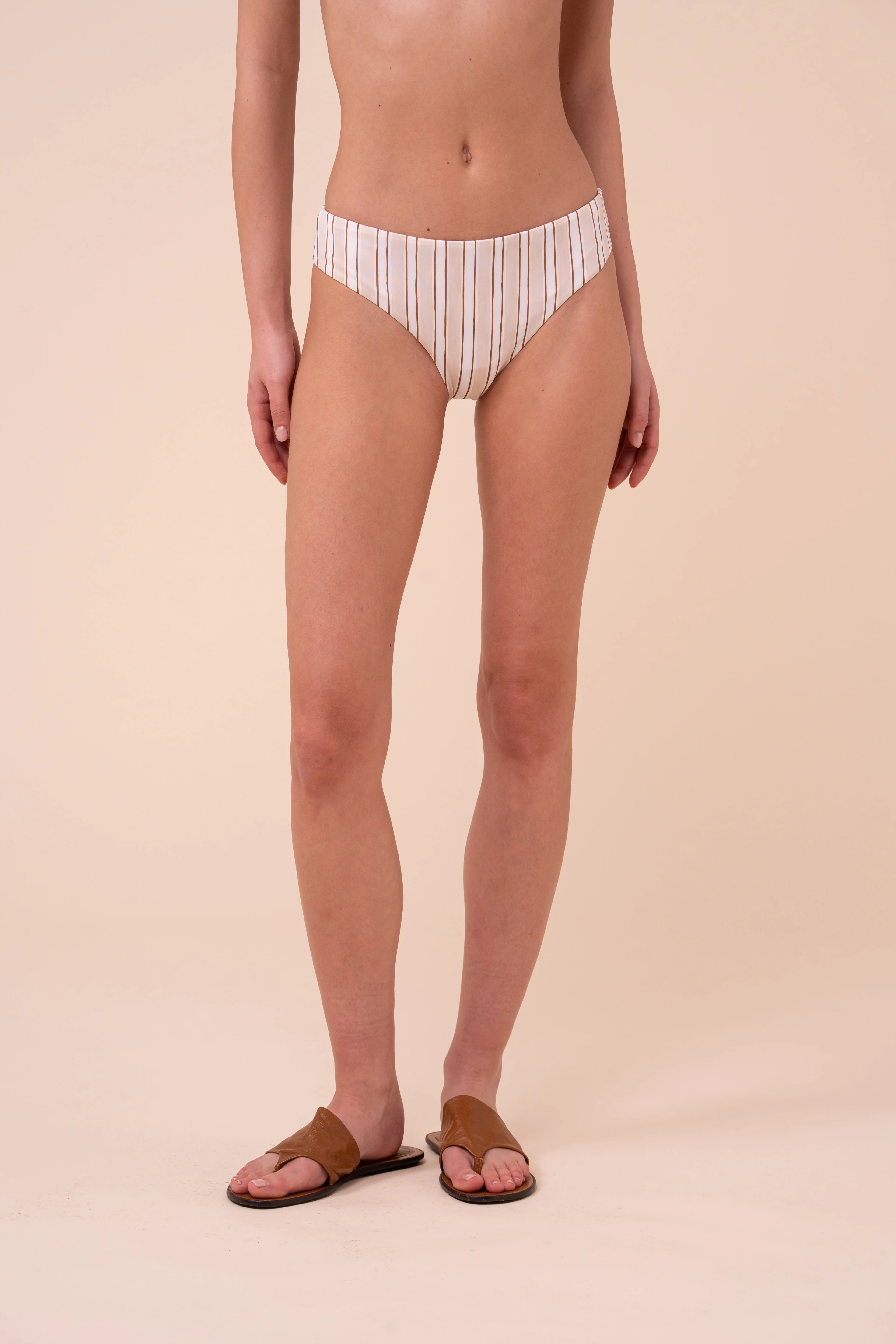 Canada Bikini Bottom - Striped Pattern - Image 2